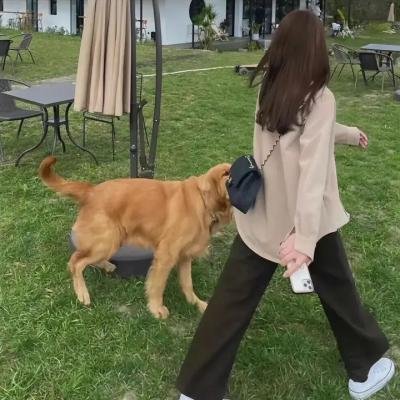 和莎莫的500天